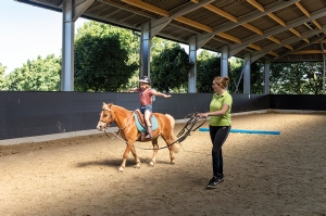 Paard en pony rijden op de camping Ook paardrij lessen zijn hier mogelijk